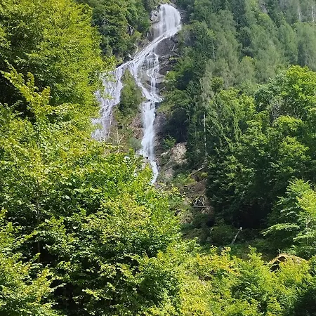 Verdenatura * Branzi